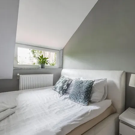 Fitness Premium بيت شباب *